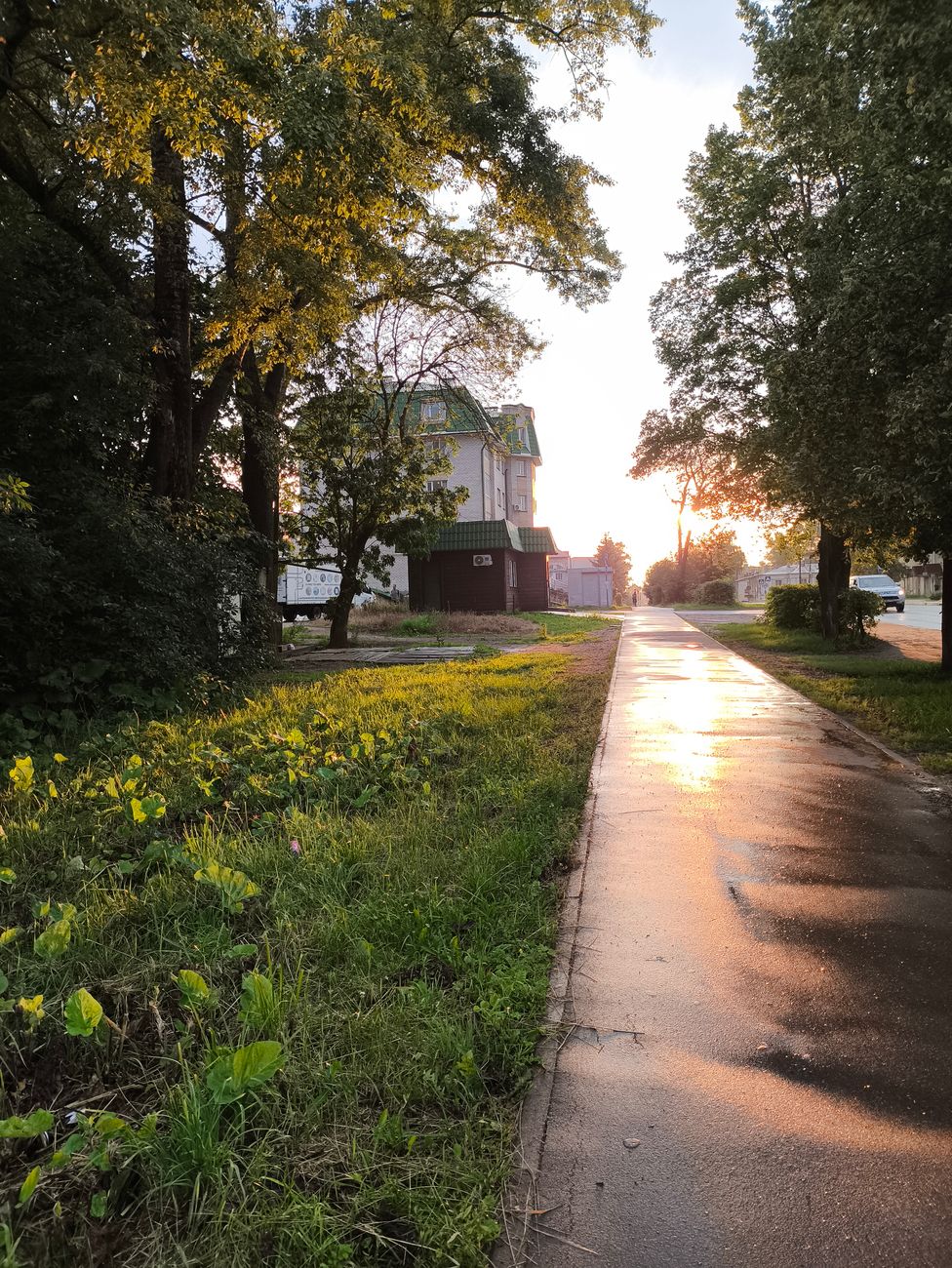 My First Midwest Summer